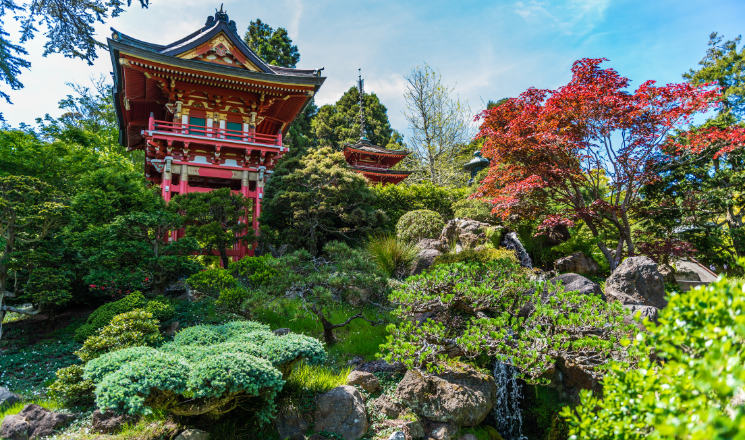 Explore Nearby Gems Around de Young Museum