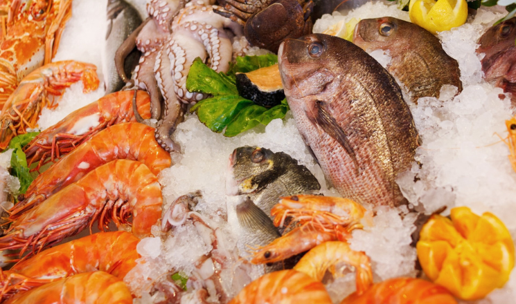 Fresh Seafood Fix at Swan Depot