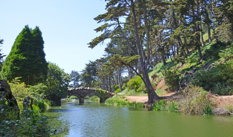 Explore More Around Zazie SF
