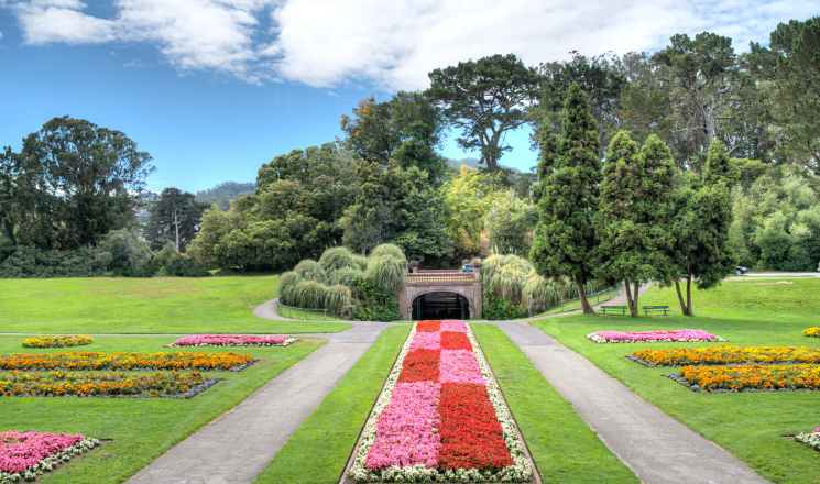 Golden Gate Park
