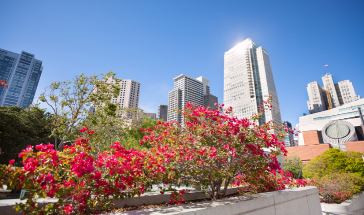 Nearby Attractions and Must-Visit Spots