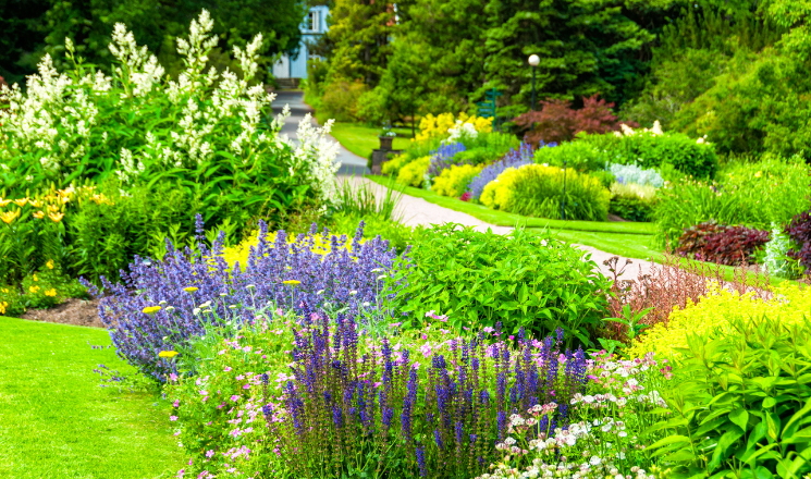 Botanical Gardens