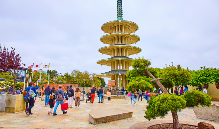 Optional Stops to Expand Your SF Culture Tour